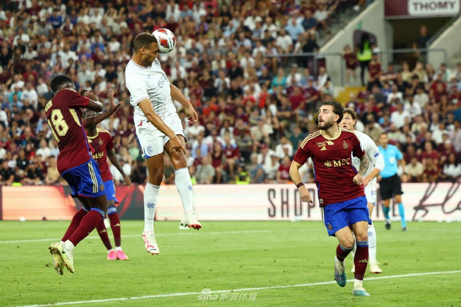 与市场启示 与市场启示